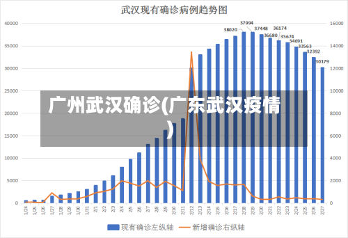 广州武汉确诊(广东武汉疫情)