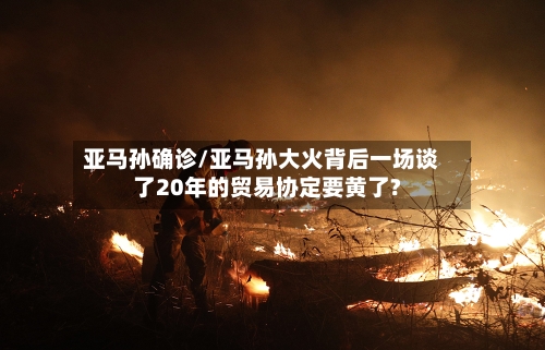 亚马孙确诊/亚马孙大火背后一场谈了20年的贸易协定要黄了?