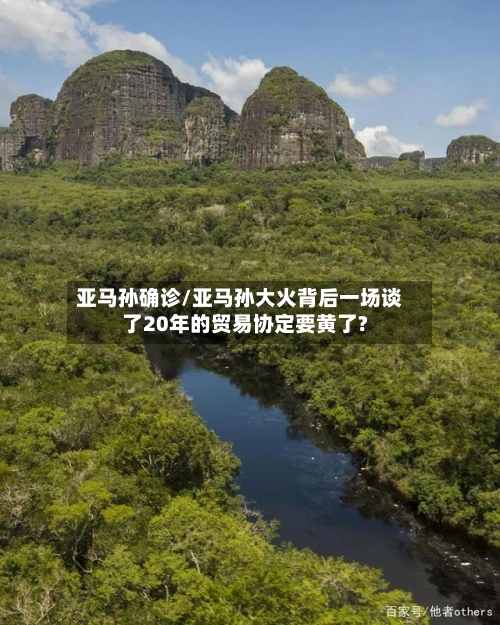 亚马孙确诊/亚马孙大火背后一场谈了20年的贸易协定要黄了?-第2张图片