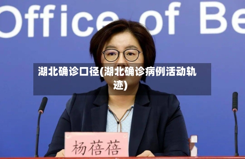 湖北确诊口径(湖北确诊病例活动轨迹)-第3张图片