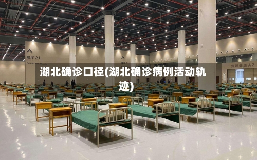 湖北确诊口径(湖北确诊病例活动轨迹)