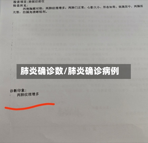 肺炎确诊数/肺炎确诊病例-第2张图片