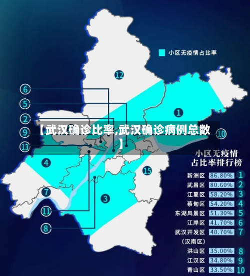 【武汉确诊比率,武汉确诊病例总数】-第2张图片