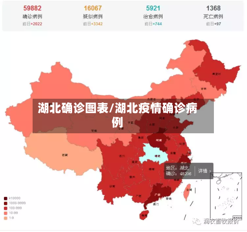 湖北确诊图表/湖北疫情确诊病例