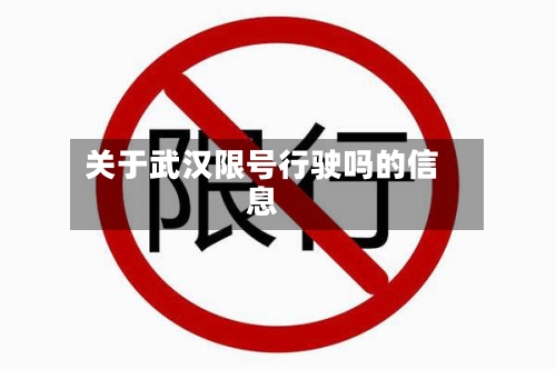 关于武汉限号行驶吗的信息-第3张图片