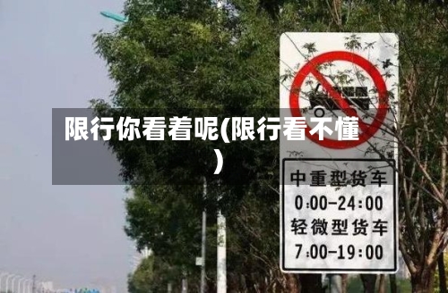 限行你看着呢(限行看不懂)