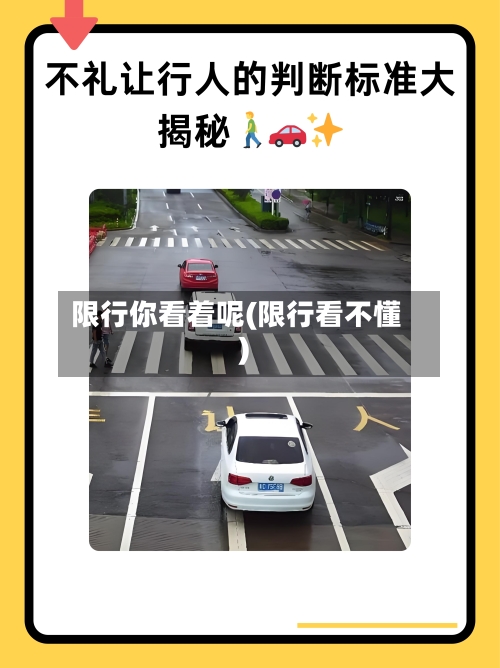 限行你看着呢(限行看不懂)-第2张图片