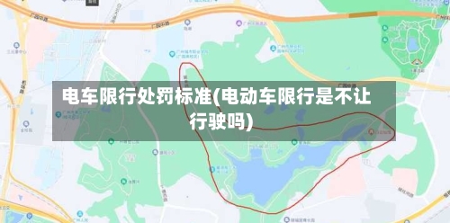 电车限行处罚标准(电动车限行是不让行驶吗)-第2张图片