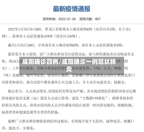 咸阳确诊四例/咸阳确诊一例冠状肺炎-第3张图片