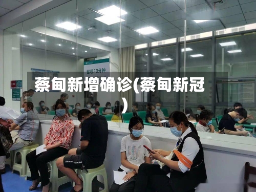 蔡甸新增确诊(蔡甸新冠)-第3张图片