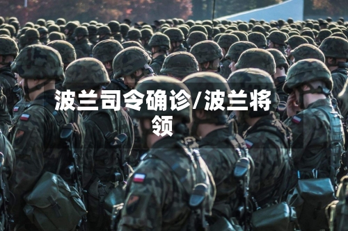 波兰司令确诊/波兰将领-第3张图片
