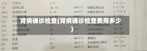 肾病确诊检查(肾病确诊检查费用多少)-第3张图片