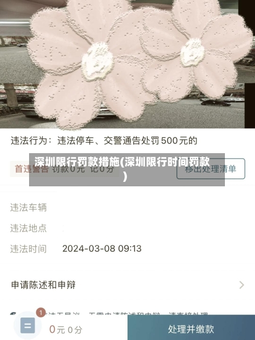 深圳限行罚款措施(深圳限行时间罚款)