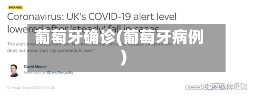 葡萄牙确诊(葡萄牙病例)-第3张图片