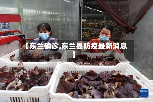 【东兰确诊,东兰县防疫最新消息】