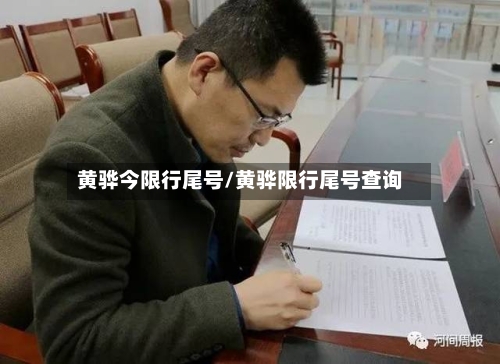 黄骅今限行尾号/黄骅限行尾号查询-第2张图片