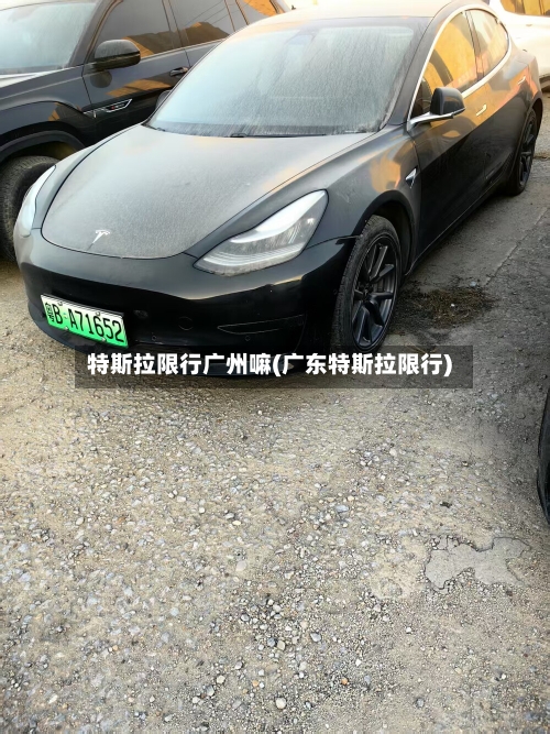 特斯拉限行广州嘛(广东特斯拉限行)-第2张图片