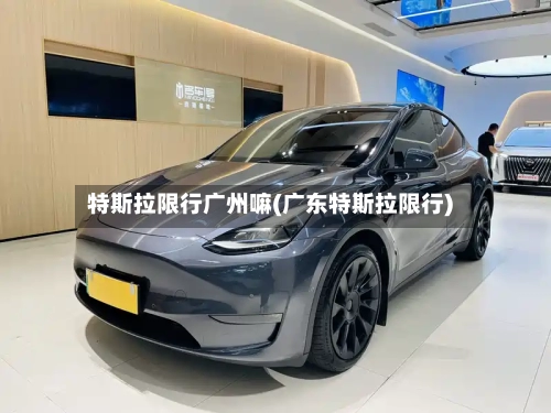 特斯拉限行广州嘛(广东特斯拉限行)-第3张图片