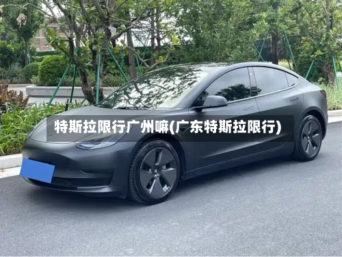 特斯拉限行广州嘛(广东特斯拉限行)