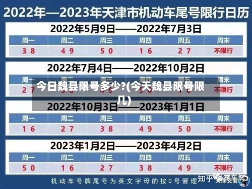 今日魏县限号多少?(今天魏县限号限几)