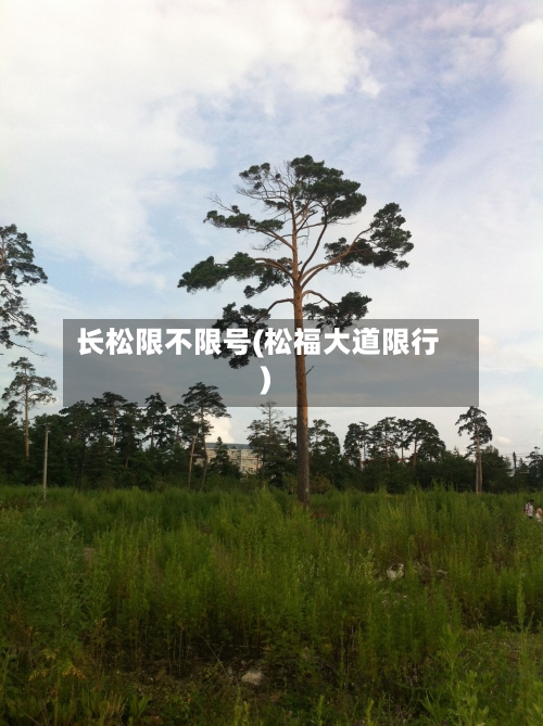 长松限不限号(松福大道限行)