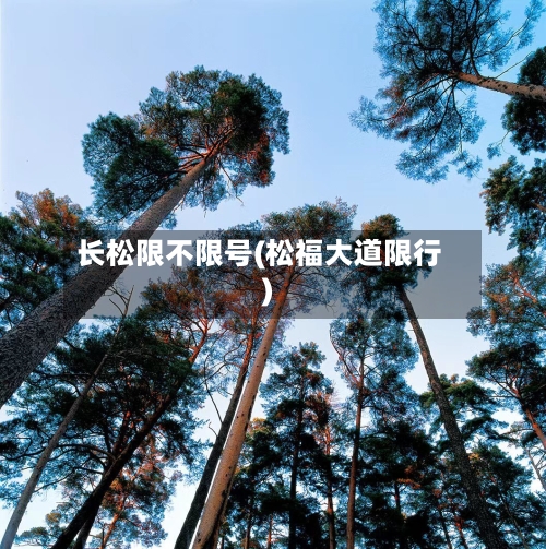 长松限不限号(松福大道限行)-第2张图片
