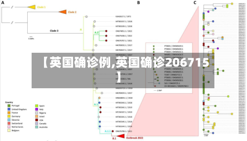 【英国确诊例,英国确诊206715】-第2张图片