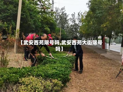【武安西苑限号吗,武安西苑大街限号吗】
