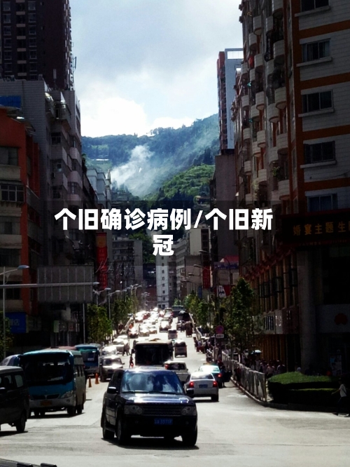 个旧确诊病例/个旧新冠