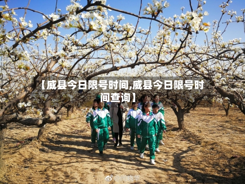 【威县今日限号时间,威县今日限号时间查询】