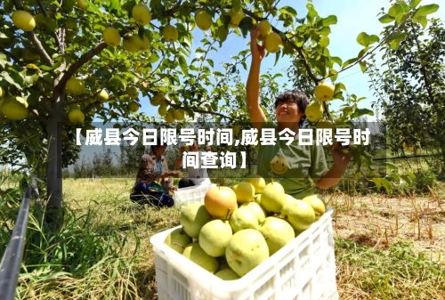【威县今日限号时间,威县今日限号时间查询】-第2张图片