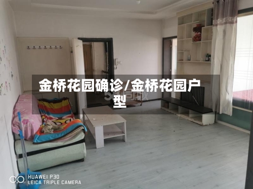 金桥花园确诊/金桥花园户型-第2张图片