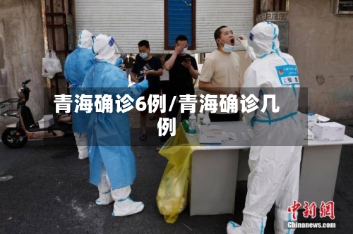青海确诊6例/青海确诊几例-第2张图片