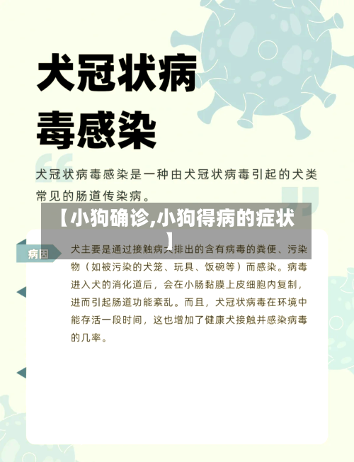 【小狗确诊,小狗得病的症状】