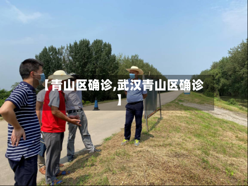 【青山区确诊,武汉青山区确诊】