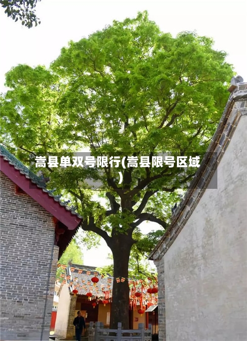 嵩县单双号限行(嵩县限号区域)