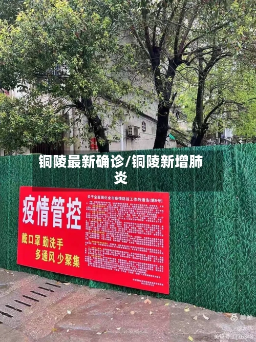 铜陵最新确诊/铜陵新增肺炎-第2张图片
