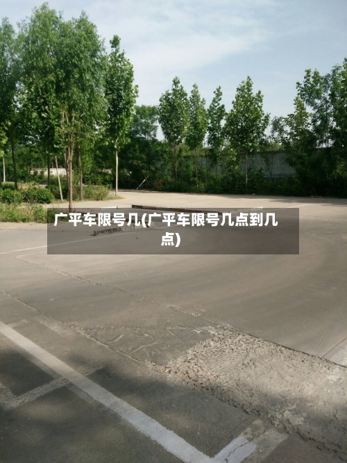 广平车限号几(广平车限号几点到几点)
