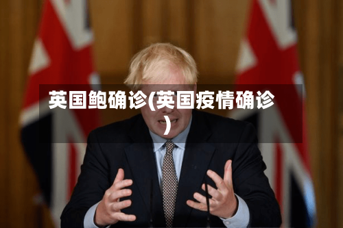 英国鲍确诊(英国疫情确诊)