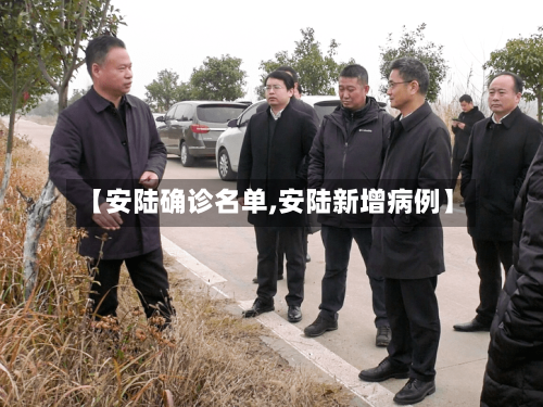 【安陆确诊名单,安陆新增病例】