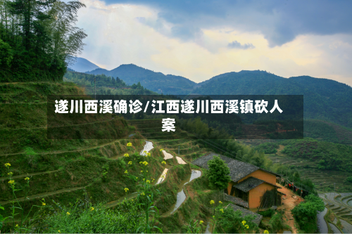 遂川西溪确诊/江西遂川西溪镇砍人案-第2张图片