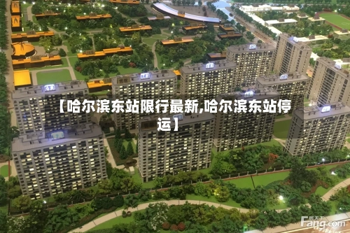 【哈尔滨东站限行最新,哈尔滨东站停运】-第2张图片