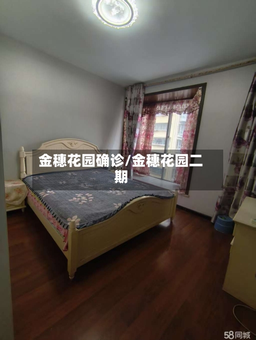 金穗花园确诊/金穗花园二期-第3张图片