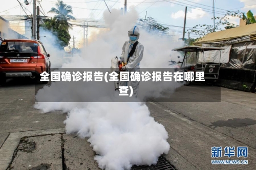全国确诊报告(全国确诊报告在哪里查)-第2张图片