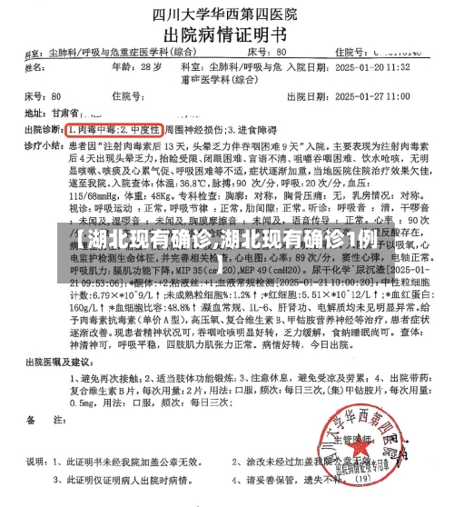 【湖北现有确诊,湖北现有确诊1例】-第3张图片