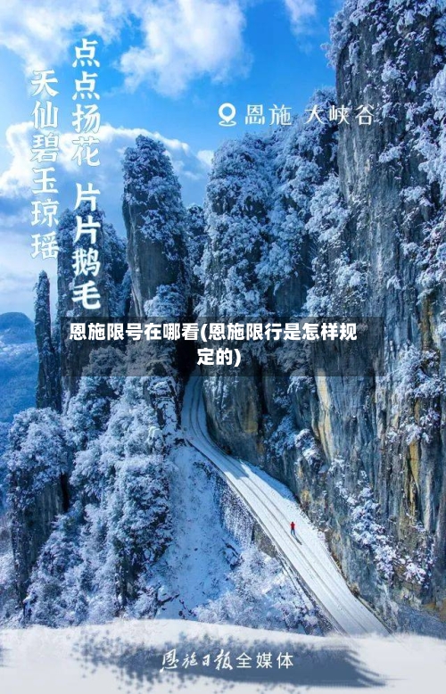 恩施限号在哪看(恩施限行是怎样规定的)-第3张图片