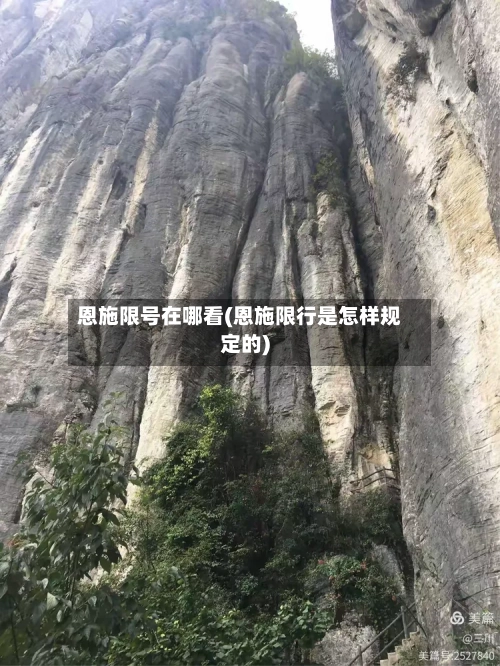 恩施限号在哪看(恩施限行是怎样规定的)