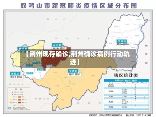 【荆州现存确诊,荆州确诊病例行动轨迹】-第2张图片