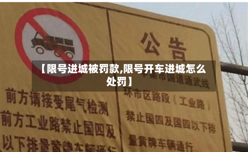 【限号进城被罚款,限号开车进城怎么处罚】