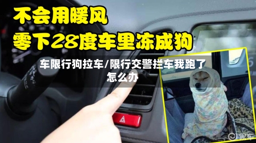 车限行狗拉车/限行交警拦车我跑了怎么办